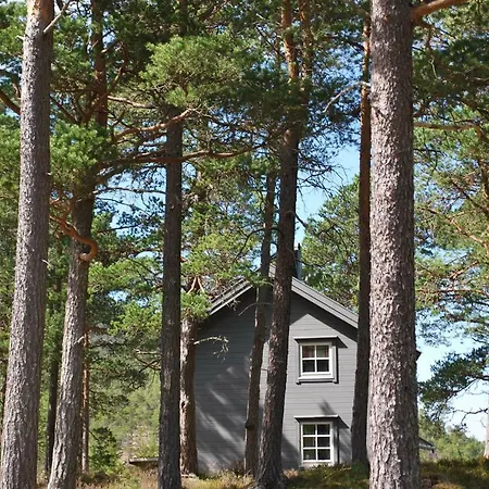 Campingplatz Tiurleiken Snillfjord