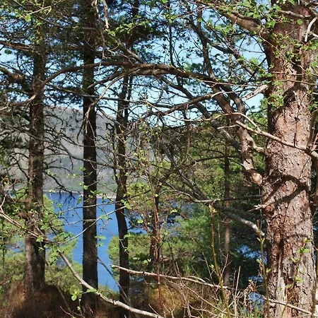 Tiurleiken * Snillfjord